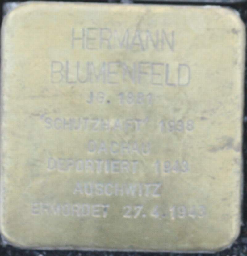 Stolperstein für Hermann Blumenfeld (Archiv Chronik)