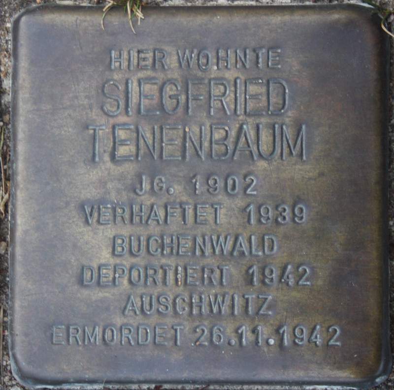 Stolperstein für Siegfried Tennebaum (Archiv Chronik)