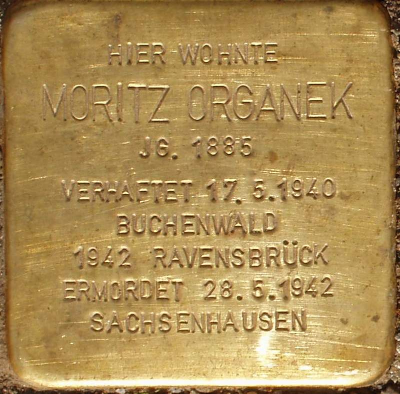 Stolperstein für Moritz Organek (Foto: Thomas Garde, Magdeburg)